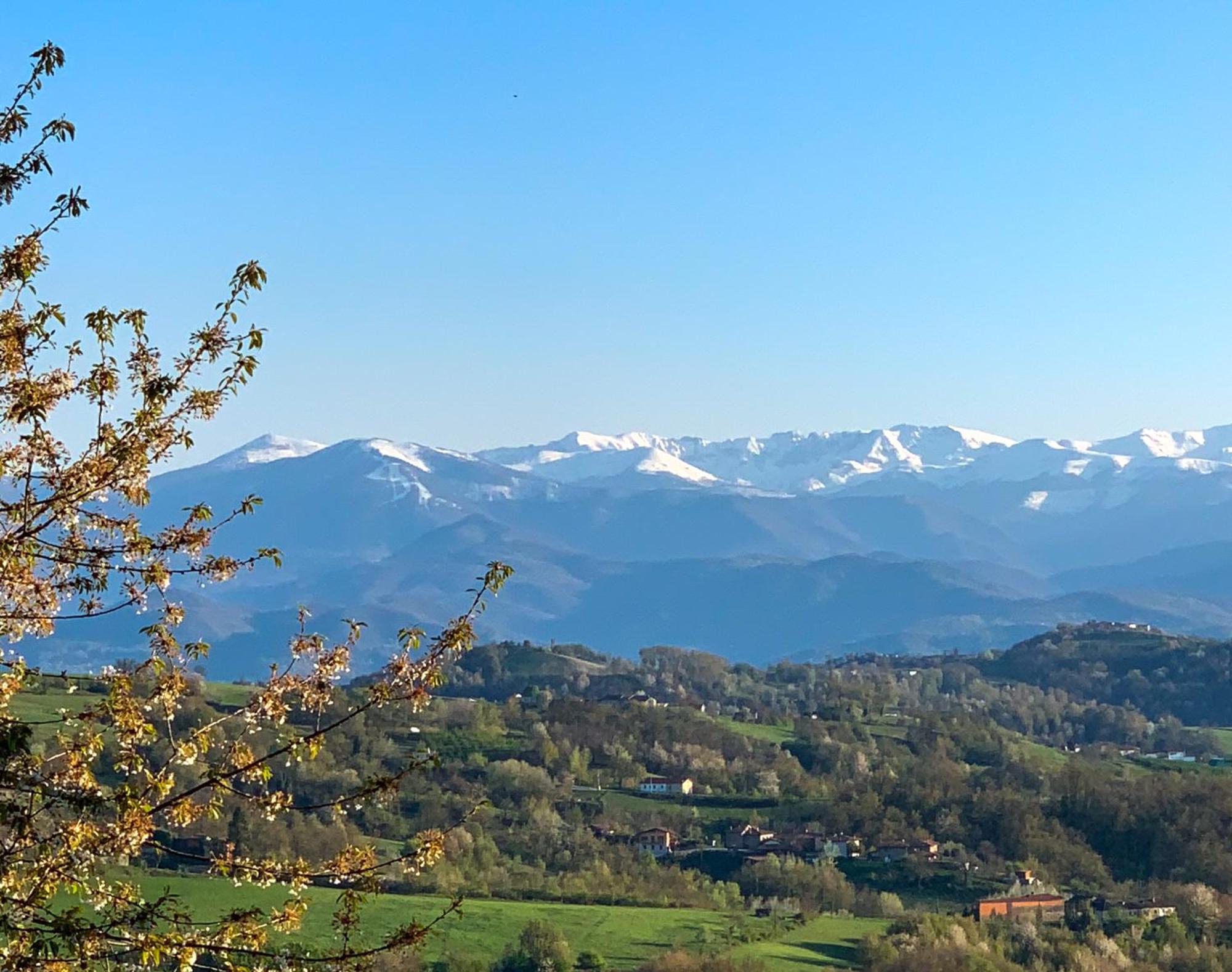 Вилла Just Langhe Casa Barolo Новелло Экстерьер фото