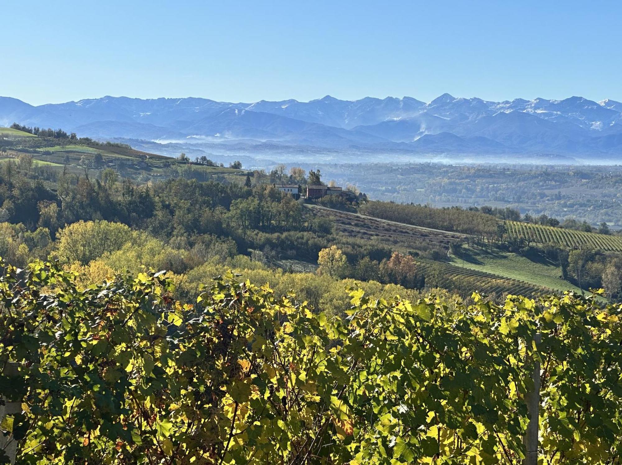 Вилла Just Langhe Casa Barolo Новелло Экстерьер фото