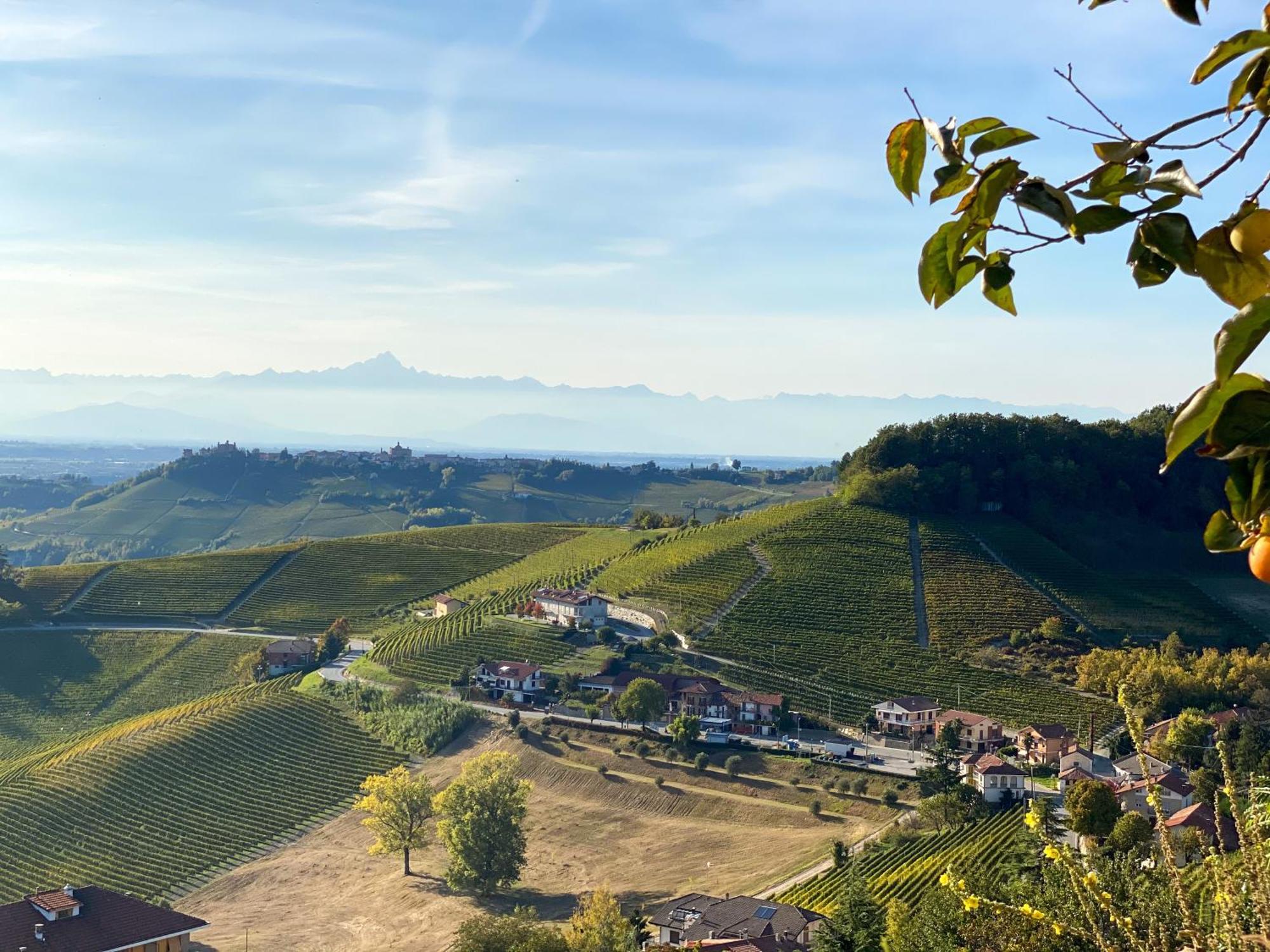 Вилла Just Langhe Casa Barolo Новелло Экстерьер фото